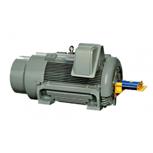  高压紧凑型铸铁壳电机
