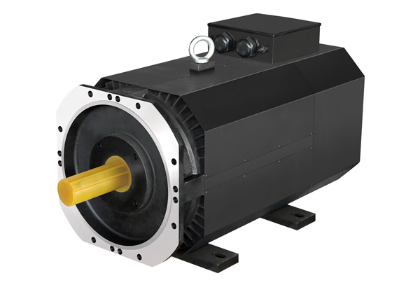 交流感应伺服电机-ZMYB-500机座