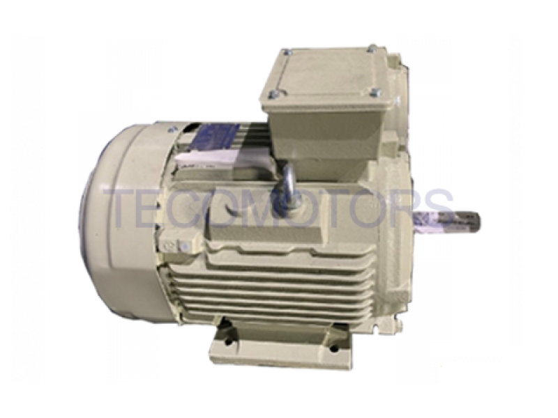  粉尘防爆变频电机